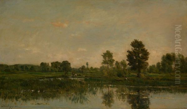 The Marsh Oil Painting by Charles-Francois Daubigny