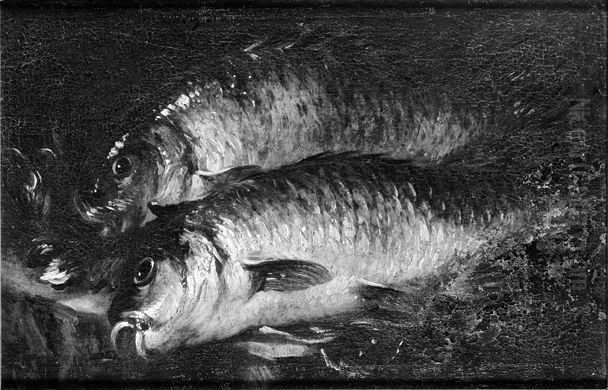 Two Carps on a Kitchen Table Oil Painting by Felice Boselli
