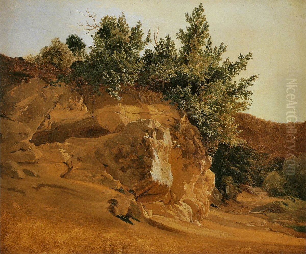 Italian Mountain Landscape with Overgrown Rock, probably near Olevano Oil Painting by Fritz Petzholdt
