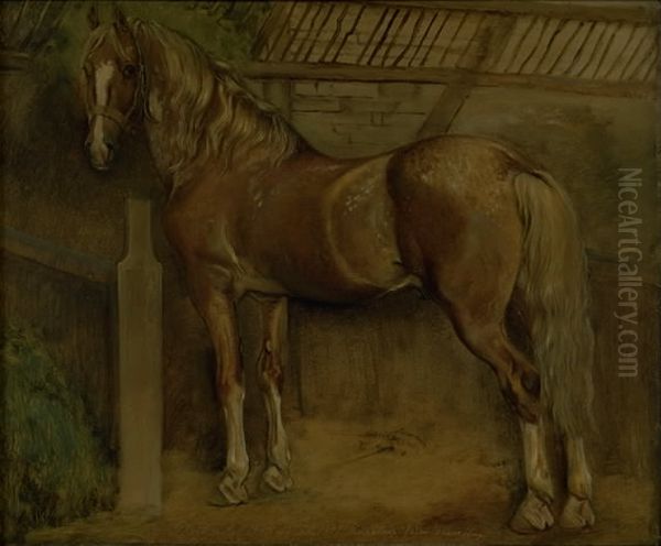 Seksten-arig hingst af Knabstrup-racen Oil Painting by Johan Lundbye