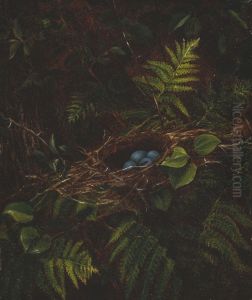 Bird's Nest and Ferns
