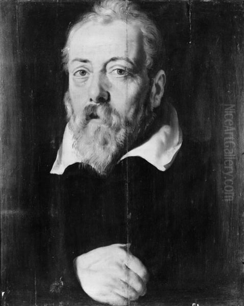 Portrait of Frans Francken Oil Painting by (studio of) Rubens, Peter Paul