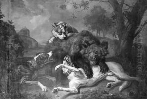 Fight between Bear and Dogs