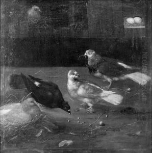 Pigeons