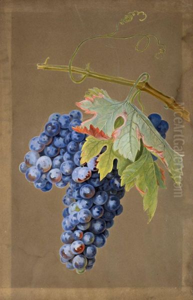Weinrebe Oil Painting by Charlotte Carus