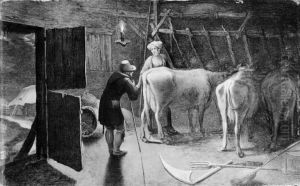 A Cowshed