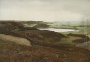 A landscape near Bryrup, Jutland