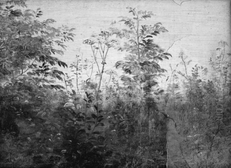 Foreground Study Oil Painting by Dankvart Dreyer