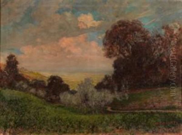 Augusto Pinerolo Oil Painting by Augusto Carutti