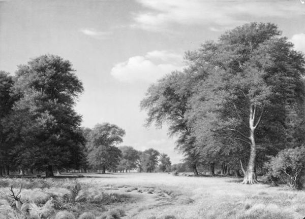 A Summer's Day in the Jaegersborg Deer Park, North of Copenhagen Oil Painting by P. C. Skovgaard