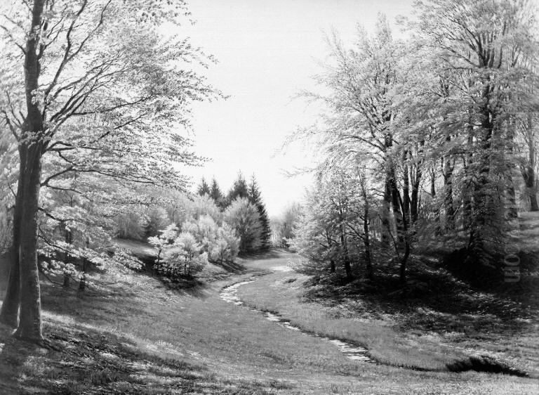 En skovbaek i Praestevangen ved Frederiksborg Oil Painting by Godtfred Rump