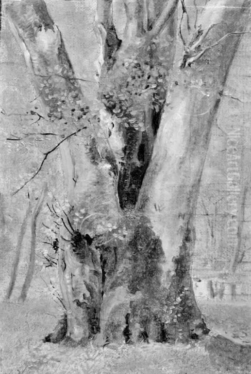 A Tree with Several Trunks Oil Painting by Lorenz Frolich