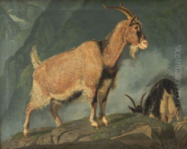 Geder i Alperne Oil Painting by Christian Frederik Carl Holm