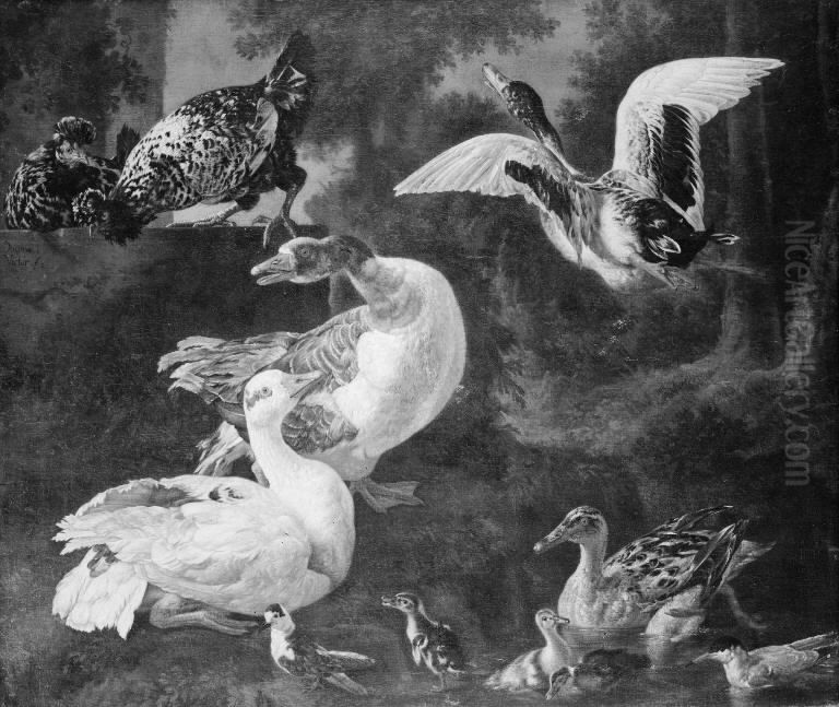 Poultry Oil Painting by Jacomo Victors