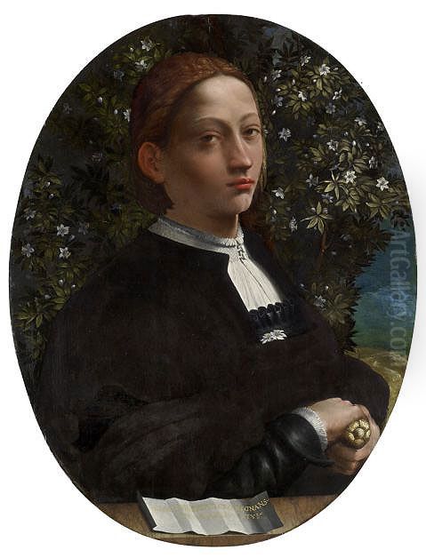 Portrait of a Youth Oil Painting by Dosso Dossi