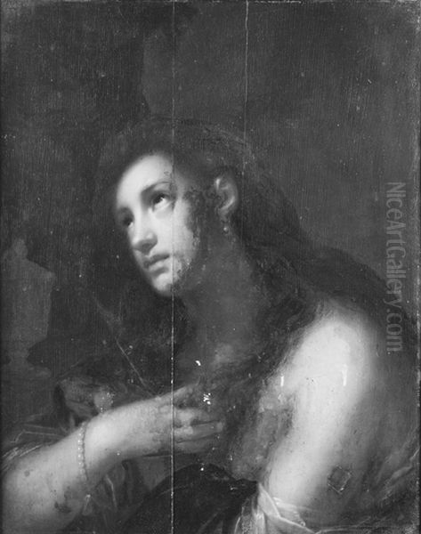 The Penitent Mary Magdalene Oil Painting by Francesco Furini