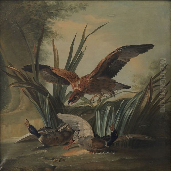 A Hawk Puncing on a Pair of Ducks Oil Painting by Jean-Baptiste Oudry
