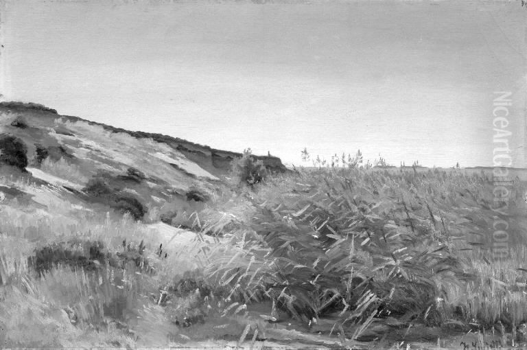 Dunes and Rushes Oil Painting by Hans Smidth