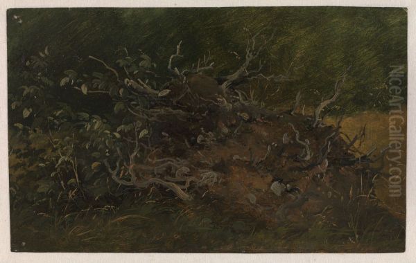 Study of a Tree Stump Oil Painting by Vilhelm Peter Carl Petersen
