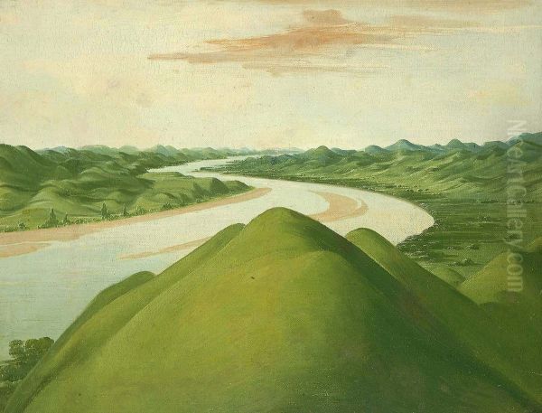 View in the 