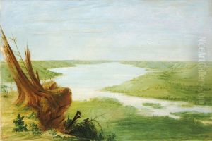 View on Lake St. Croix, Upper Mississippi