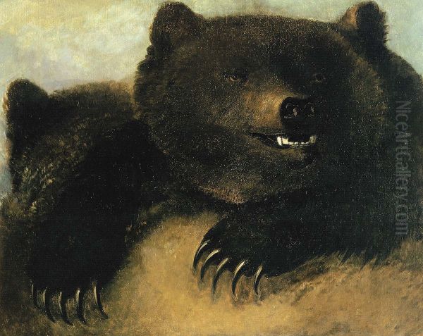 Weapons and Physiognomy of the Grizzly Bear Oil Painting by George Catlin