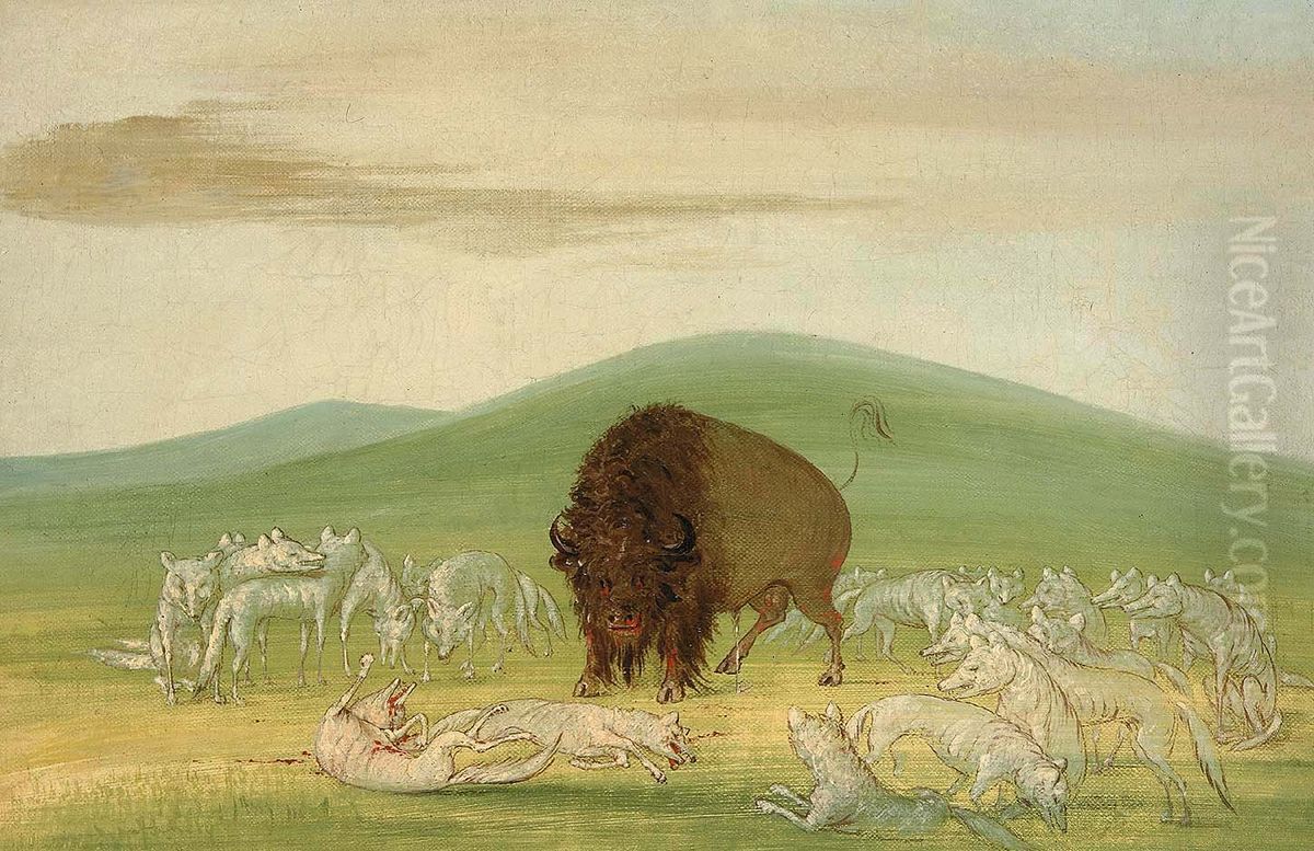 Wounded Buffalo Bull Surrounded by White Wolves Oil Painting by George Catlin