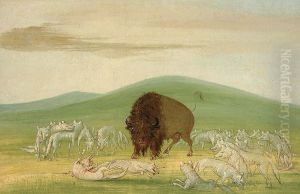 Wounded Buffalo Bull Surrounded by White Wolves