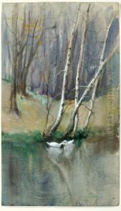 Untitled (Wood Scene with Birch Trees and Ducks)
