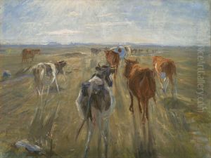 Long Shadows. Cattle on the Island of Saltholm Long Shadows. Cattle on the Island of Saltholm