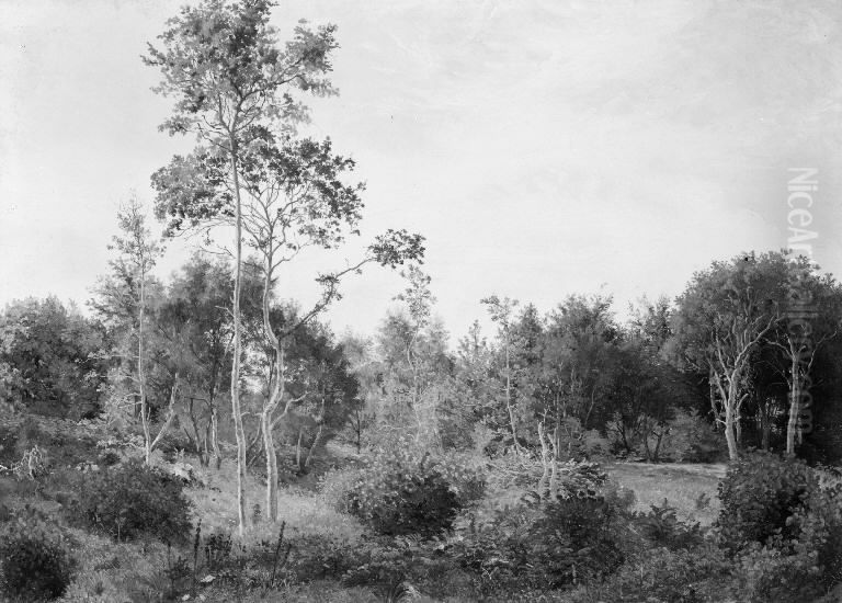 Lysning i Nordskoven ved Jaegerspris Oil Painting by Vilhelm Kyhn