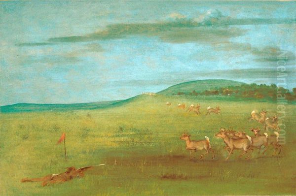 Antelope Shooting, Decoyed Up Oil Painting by George Catlin