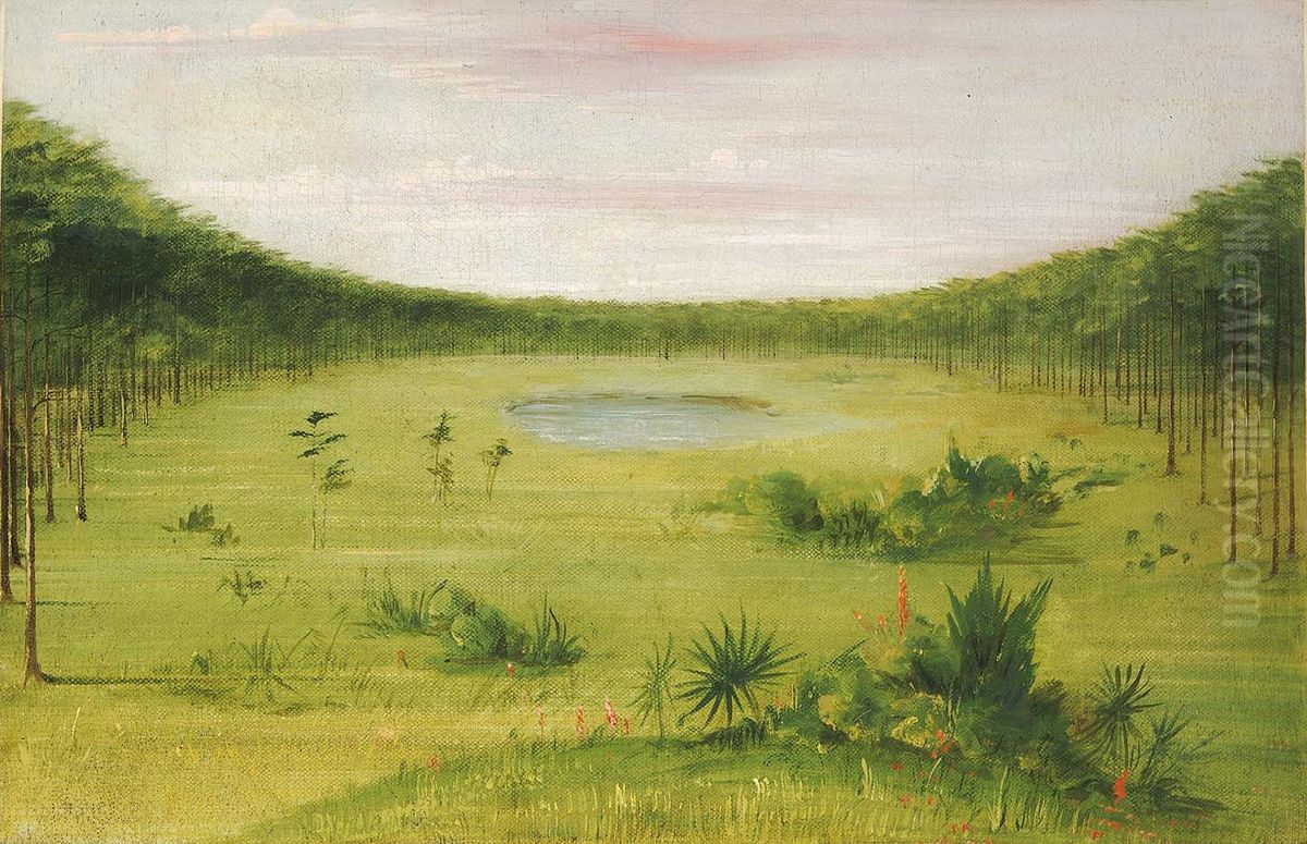 Beautiful Savannah in the Pine Woods of Florida Oil Painting by George Catlin Beautiful Savannah in the Pine Woods of Florida Oil Painting by George Catlin