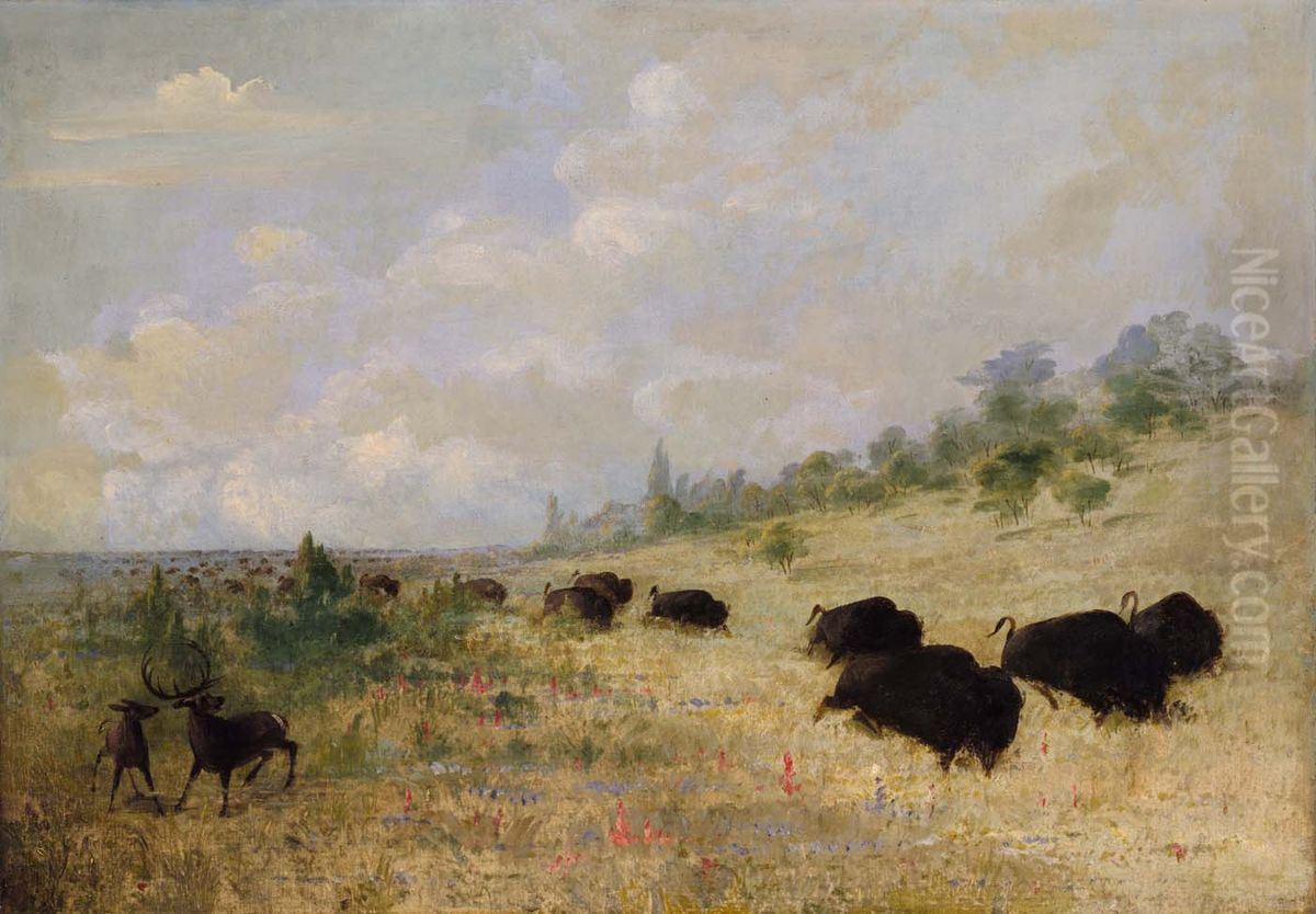 Elk and Buffalo Grazing among Prairie Flowers, Texas Oil Painting by George Catlin Elk and Buffalo Grazing among Prairie Flowers, Texas Oil Painting by George Catlin