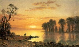 Sunset, Deer and River