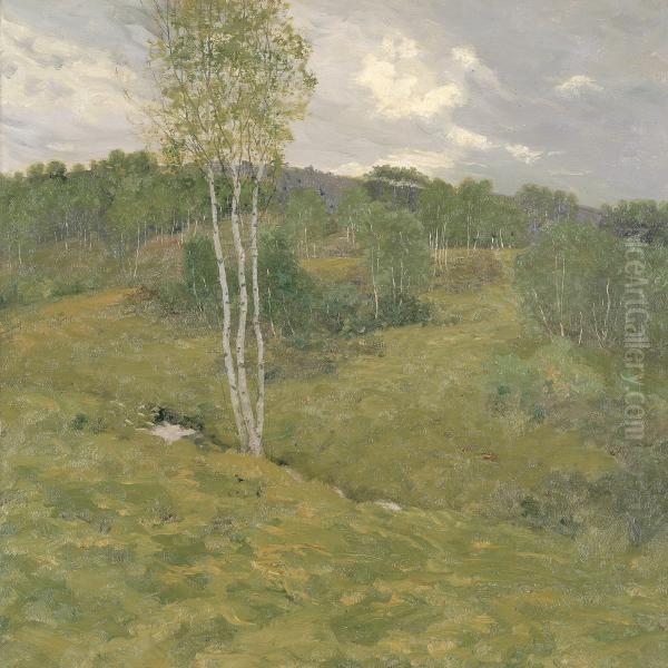 Birch-Clad Hills Oil Painting by Ben Foster
