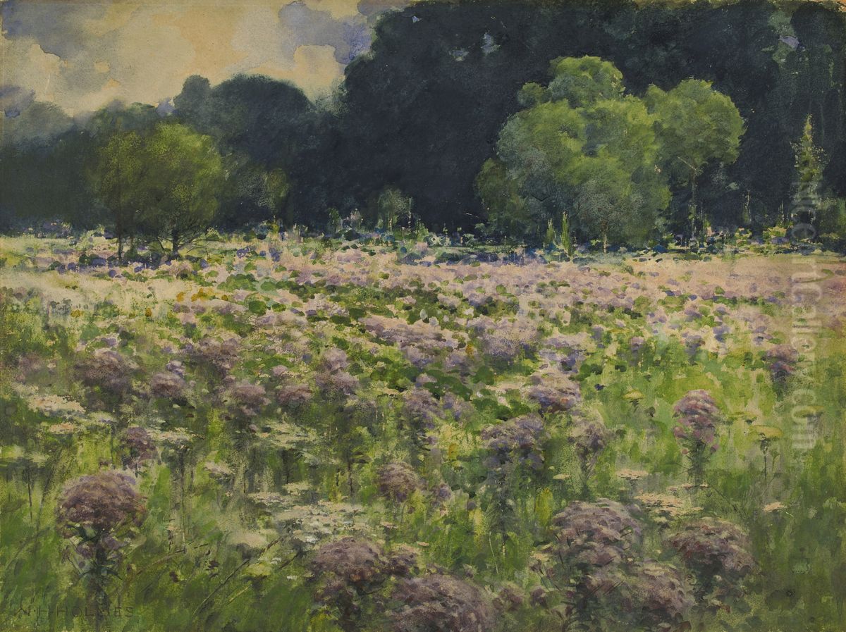 Field of Joe Pie Weeds (Pride of the Meadow) Oil Painting by William Henry Holmes