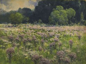 Field of Joe Pie Weeds (Pride of the Meadow)