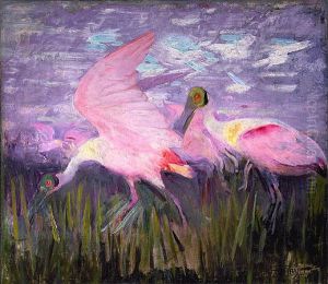 Roseate Spoonbills, study for book Concealing Coloration in the Animal Kingdom