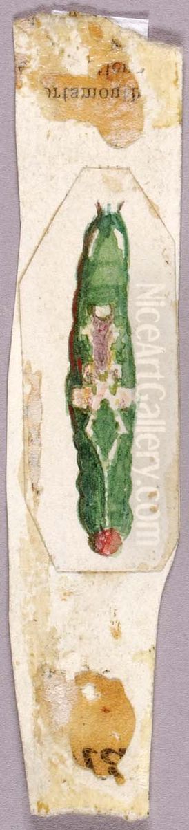 White Birch Leaf Edge Caterpillar, study for book Concealing Coloration in the Animal Kingdom Oil Painting by Abbott Handerson Thayer