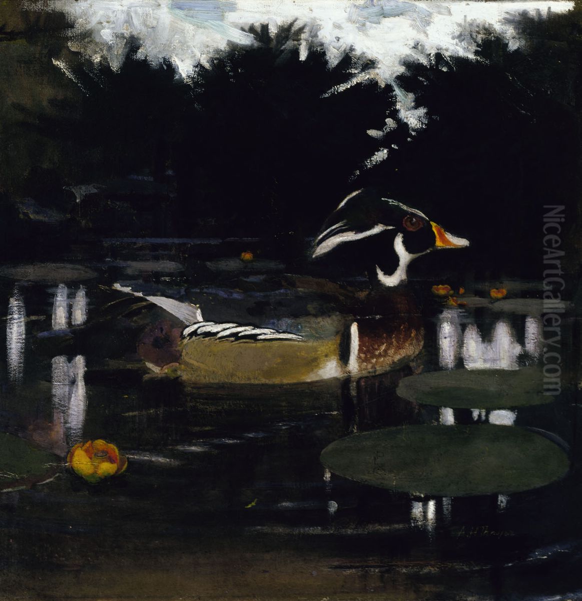 Male Wood Duck in a Forest Pool, study for book Concealing Coloration in the Animal Kingdom Oil Painting by Abbott Handerson Thayer