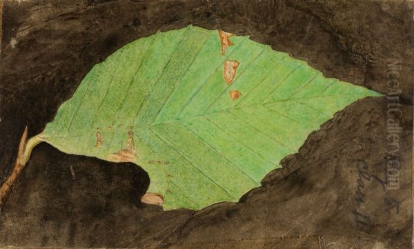 Smaller Spotted Beach Leaf Edge Caterpillar, study for book Concealing Coloration in the Animal Kingdom Oil Painting by Gerald H. Thayer