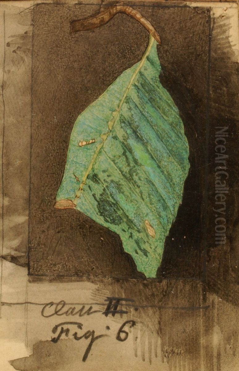 Smaller Spotted Beach Leaf Edge Caterpillar, study for book Concealing Coloration in the Animal Kingdom Oil Painting by Emma Beach Thayer