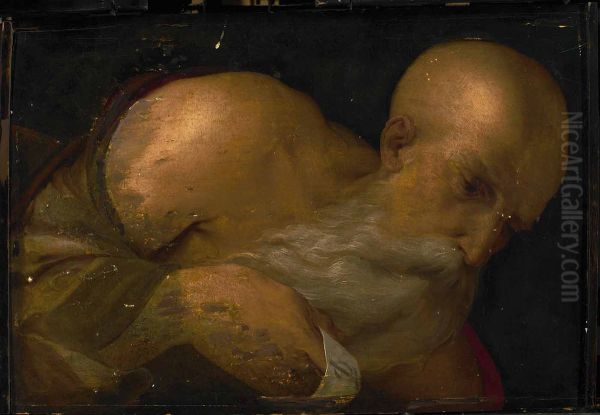 Portrait of a Man Oil Painting by Benvenuto Tisi