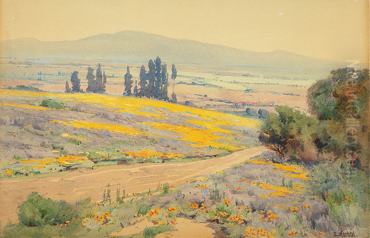 California Spring Landscape Oil Painting by unknown