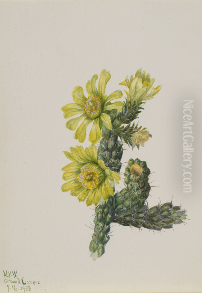 Cholla Opuntia whipplei Oil Painting by Mary Vaux Walcott