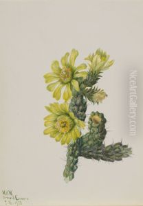 Cholla Opuntia whipplei