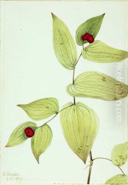 Fairy-Bells (Disporum trachycarpum) Oil Painting by Mary Vaux Walcott