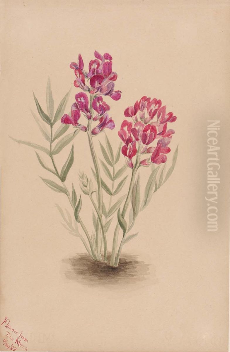 Flowers from the Mesa Oil Painting by Mary Vaux Walcott