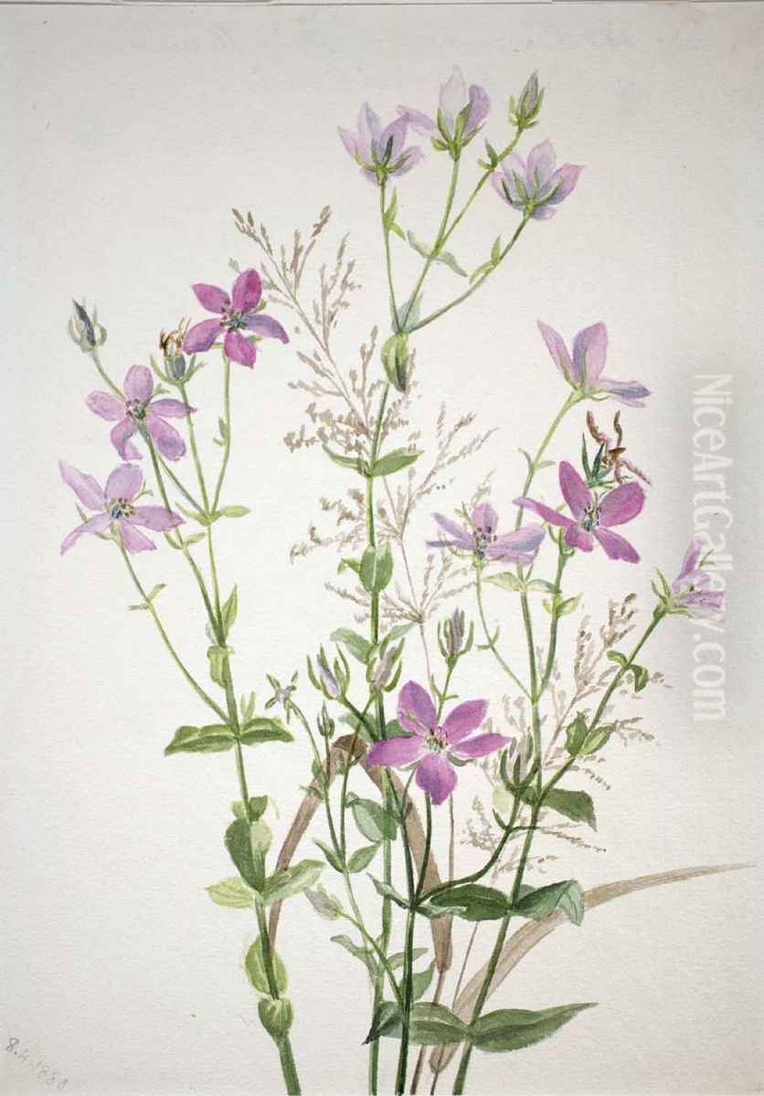 Gentianacease sabbalia angularis Oil Painting by Mary Vaux Walcott